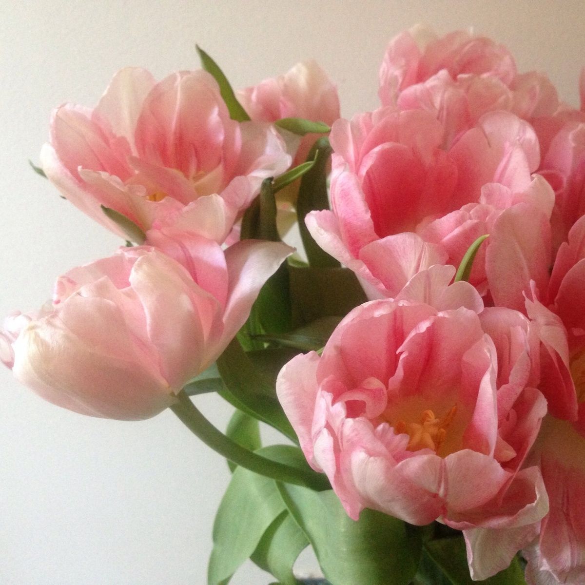 peony tulips by Bride & Blossom, NYC's Only Luxury Wedding Florist