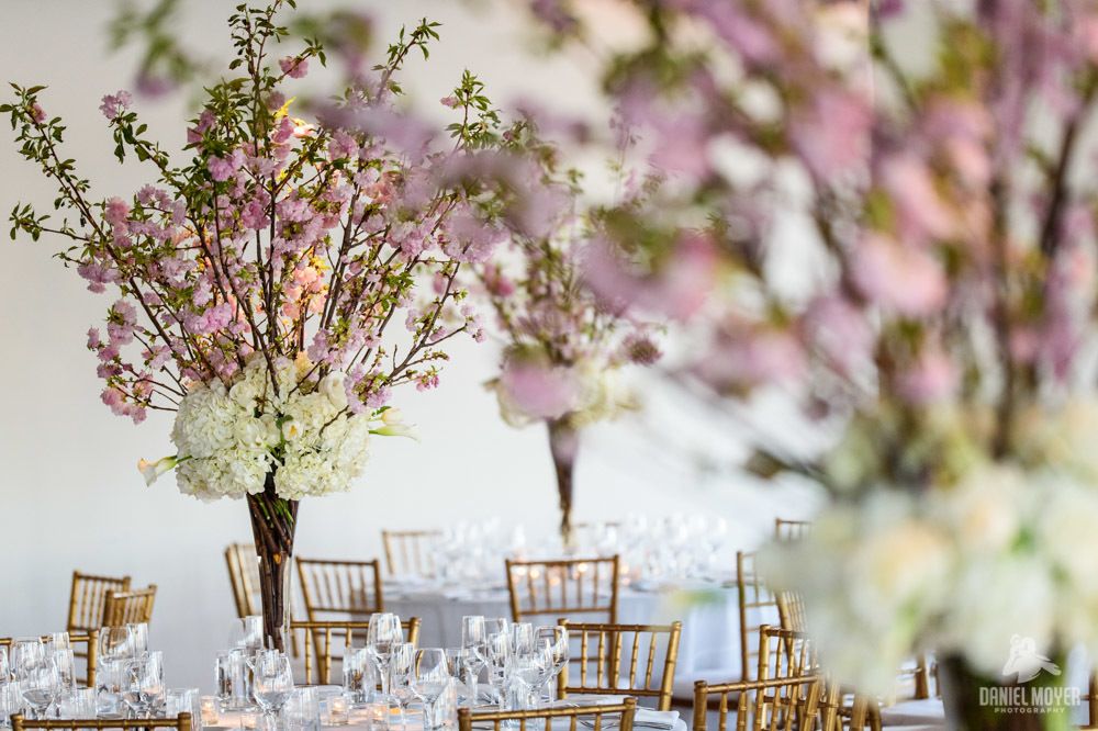 Cherry Blossom High Centerpiece - Jessica & Sean - Maritime Parc - Daniel Moyer Photography