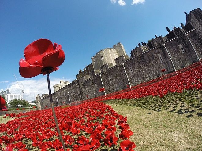 Poppies at the Tower of London. Image: art vibes.com