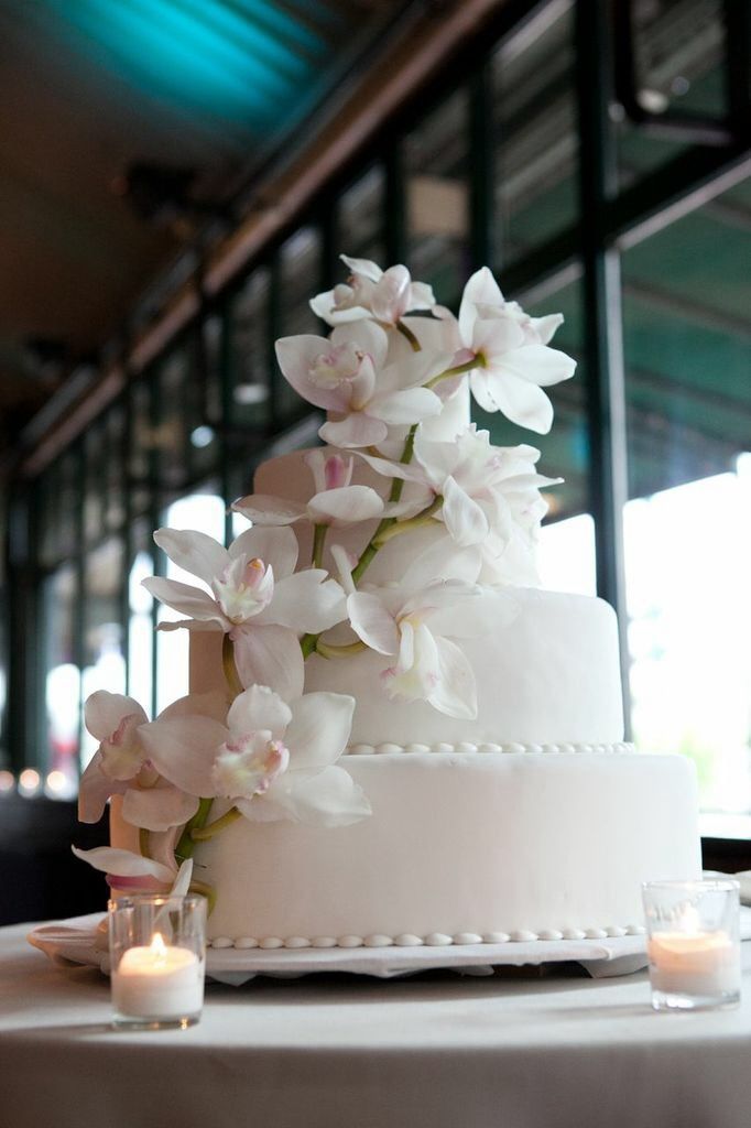 Delicate white orchids adorn an  elegantly simple cake.