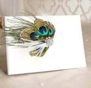 Peacock-feather-guest-book