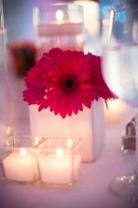 studio450 weddingsbytwo fuchsia gerbera daisy