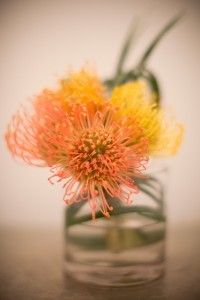 studio450 weddingsbytwo flowers