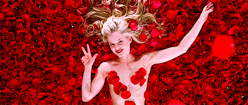 American Beauty / Floral Moments on Film / via giphy.com