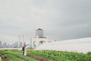 Brooklyn Grange Farm Wedding / Les Loups Photography