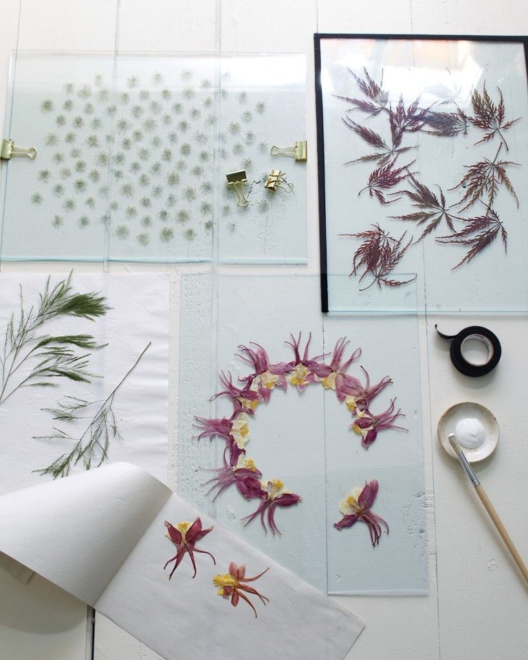 Pressed Flowers via Garden Therapy