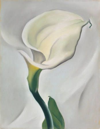 Calla Lily Turned Away - Painting by Georgia O'Keeffe - via Okeeffe Museum.org.