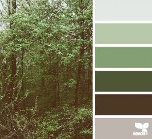 Dark Green Color Scheme - Irish Inspired Color Palette - via Pinterest
