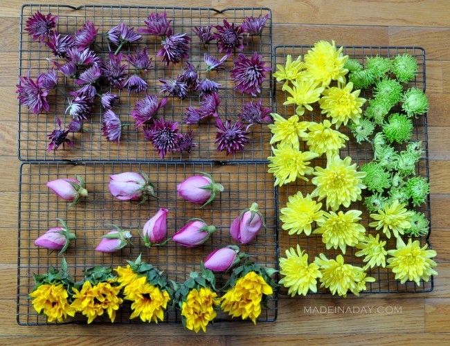Oven Dried Flowers - DIY Potpourri - via Made in a Day.com