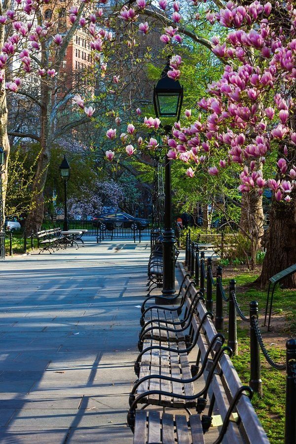 Springtime - NYC - New York City Feels - via Pinterest.com