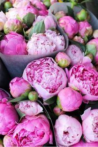Vibrant Pink Peonies - via Pinterest.com