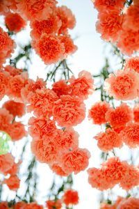 Mary & Galen Wedding - Hanging Pink Carantions and Pink Stock - The Hudson Hotel NYC - Photography by Jac and Thom