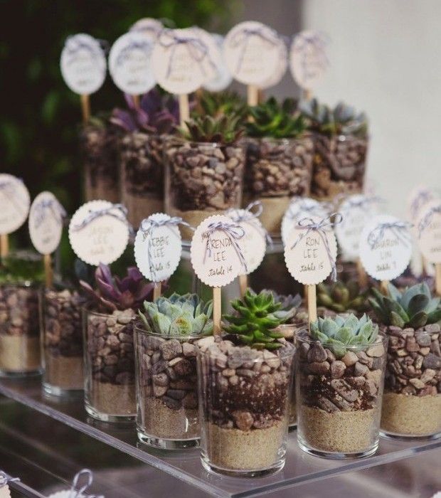 Wedding Favor - Potted Succulents - via itakeyou.co.uk