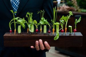 Lauren and Jordan Wedding - Cocktail Appetizer - Blue Hill at Stone Barns NY - by Craig Paulson - 0683