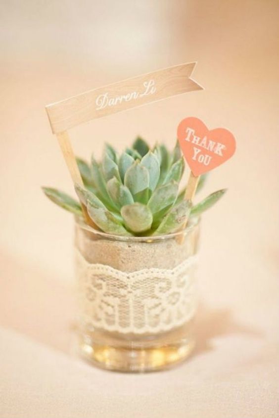 shot glass succulent - via intimateweddings.com