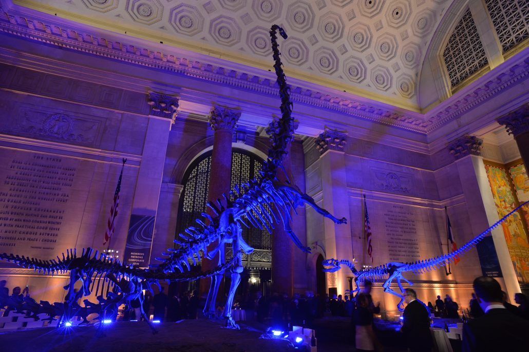American Museum of Natural History - Image Courtesy of Fusion Productions