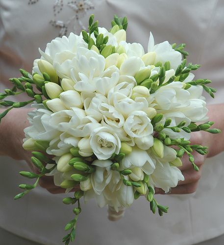 white freesia bouquet - via pinterest.com